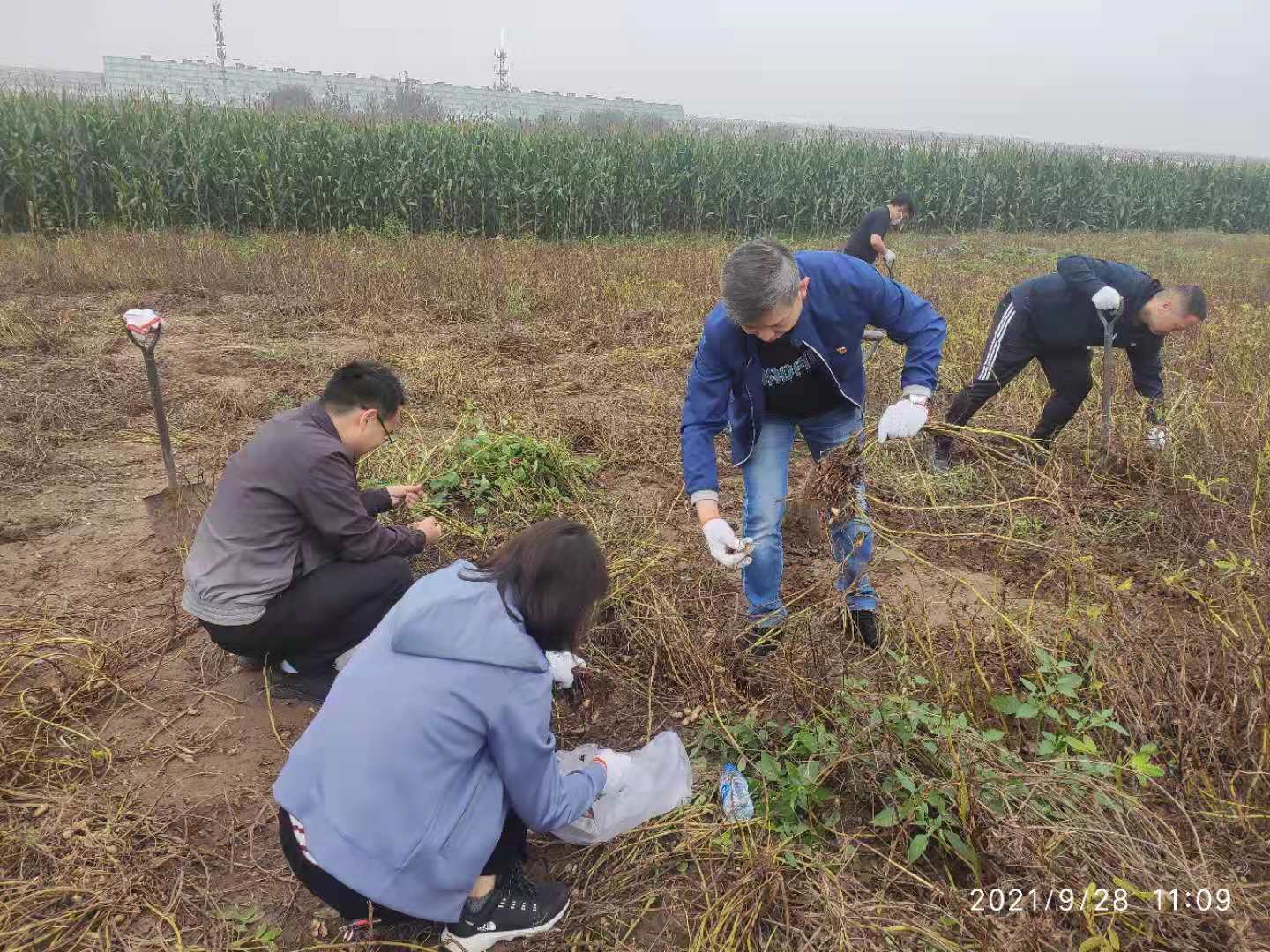 W020211011118769008558 lewin乐玩-(中国)有限公司官方网站
