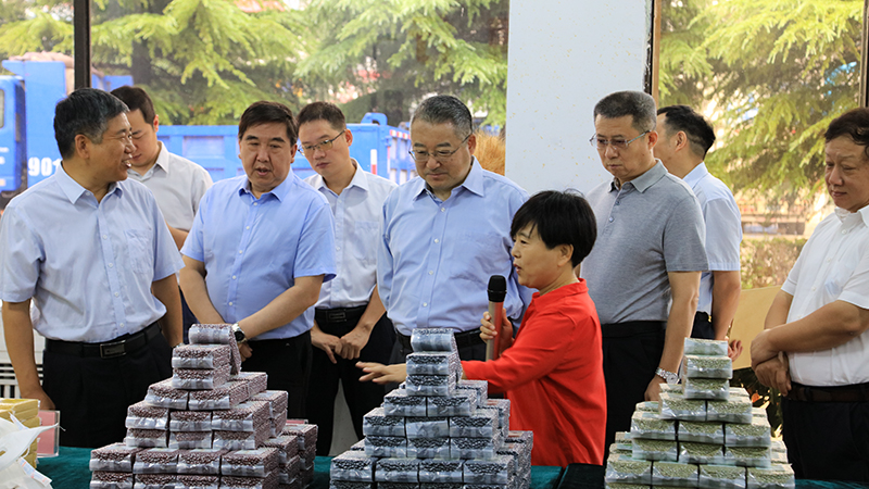 W020201125075643061479 lewin乐玩-(中国)有限公司官方网站